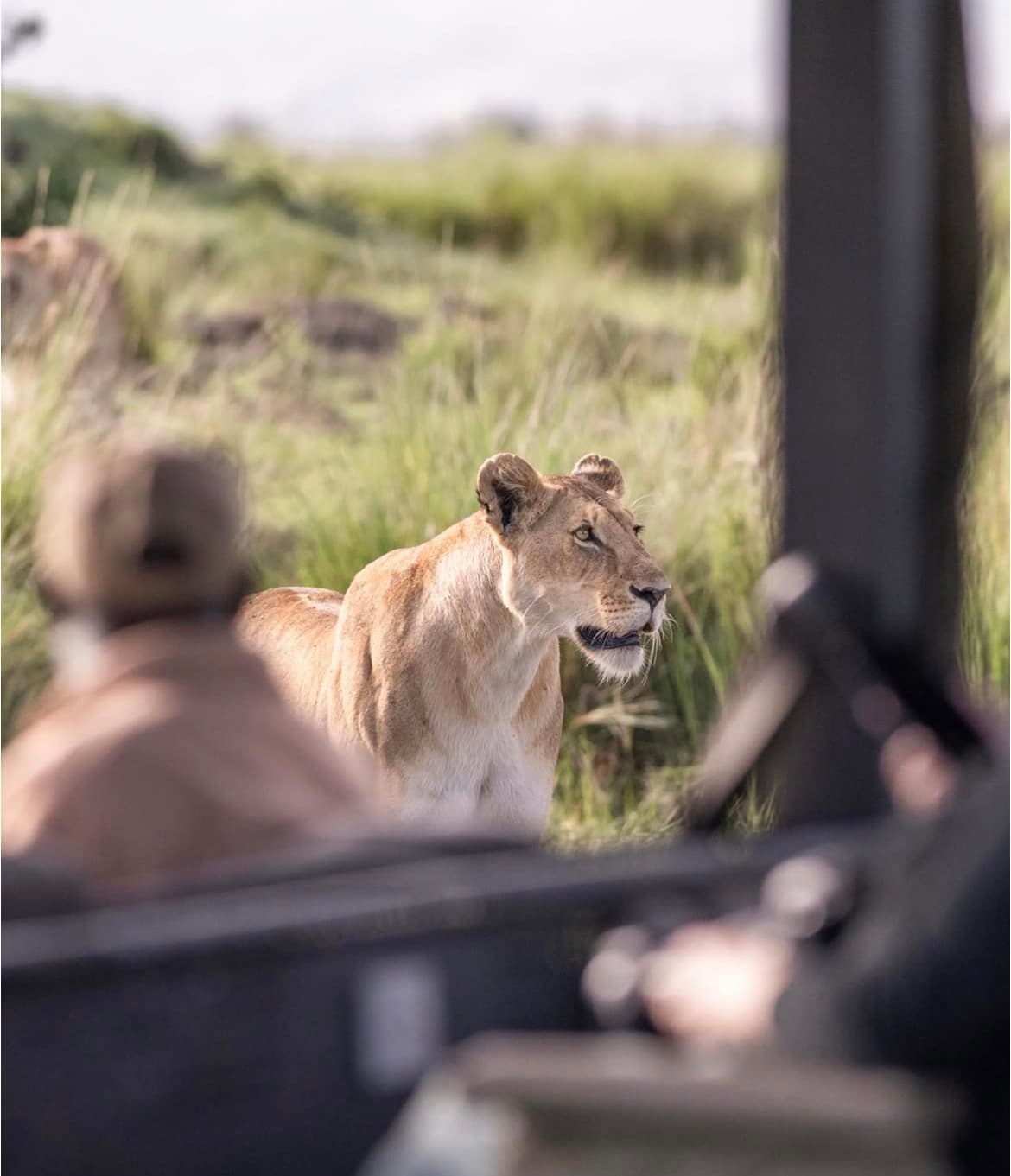 3-Day Tsavo Fly-In Safari