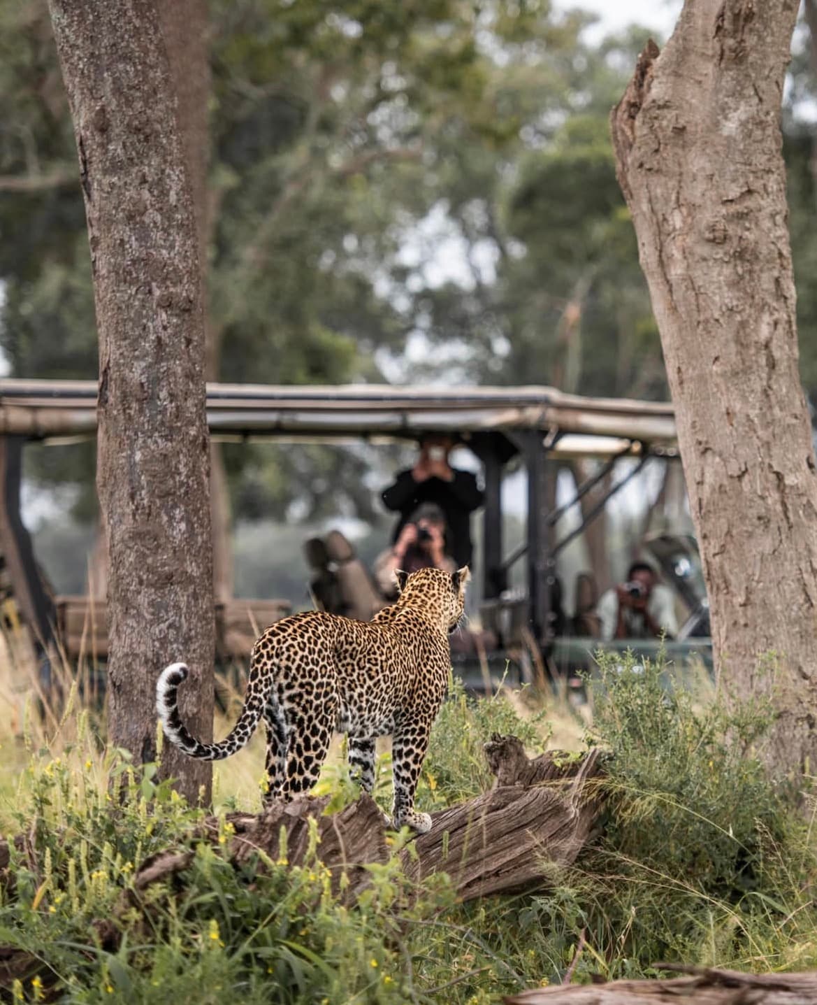 7-Day Masai Mara Photographic Safari