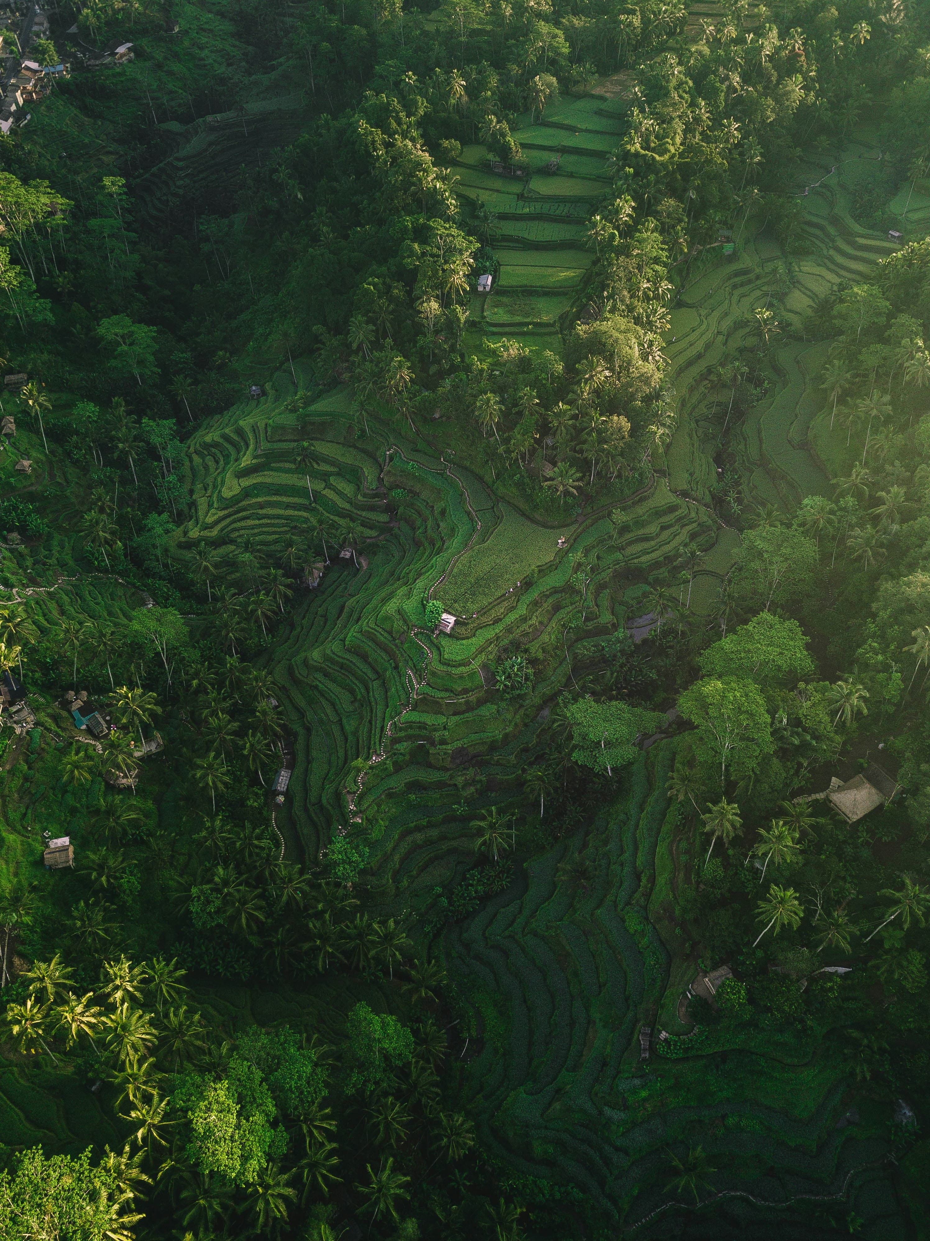 Bali, Indonesia
