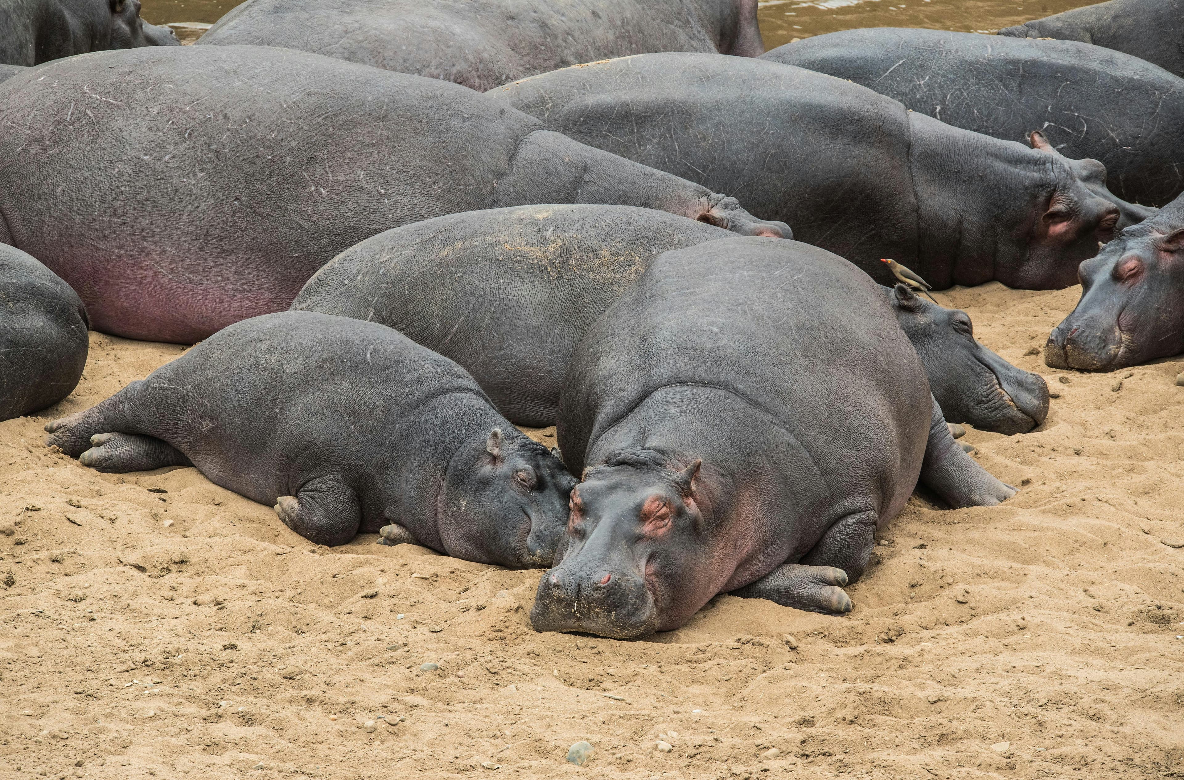 Tsavo East & West National Parks