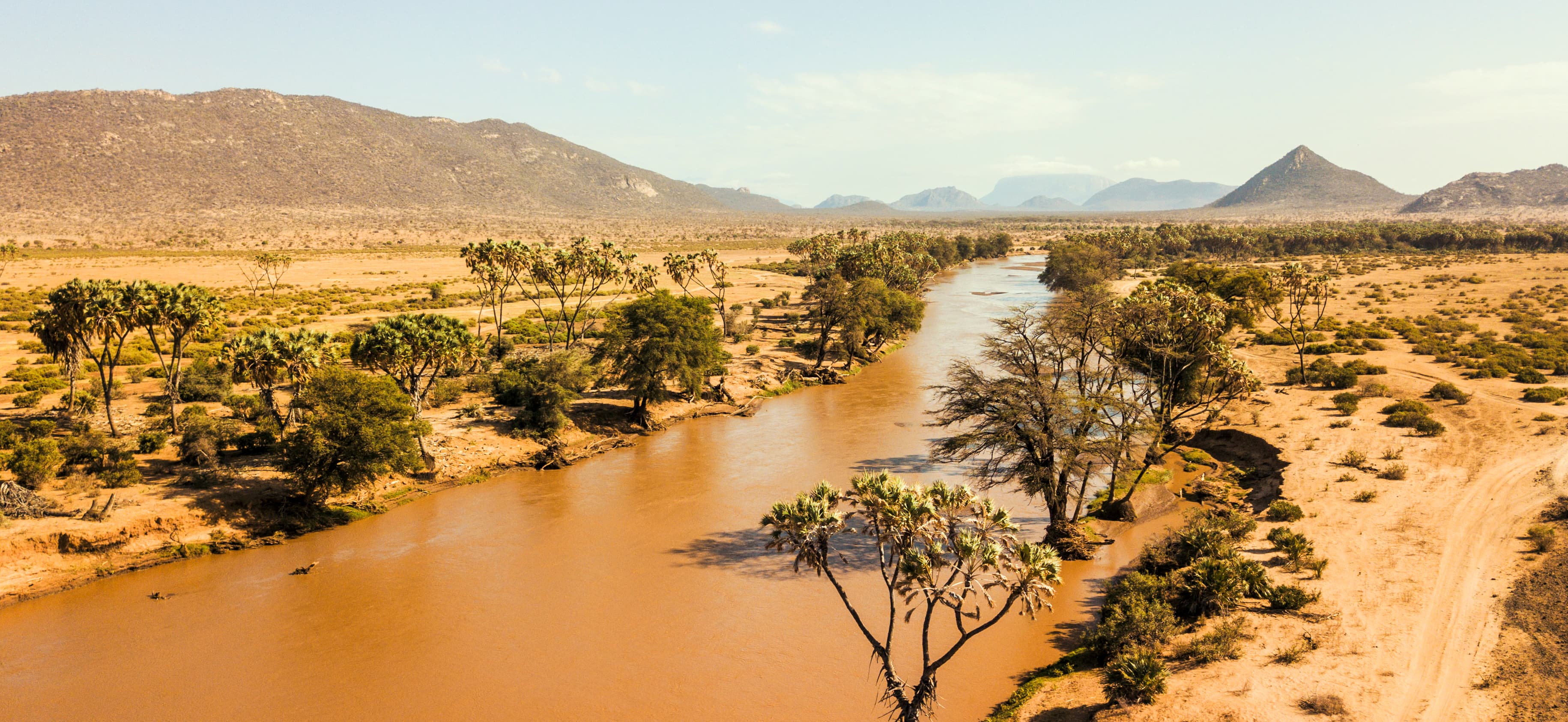 Petu Safaris Wilderness Journal & Travel Stories