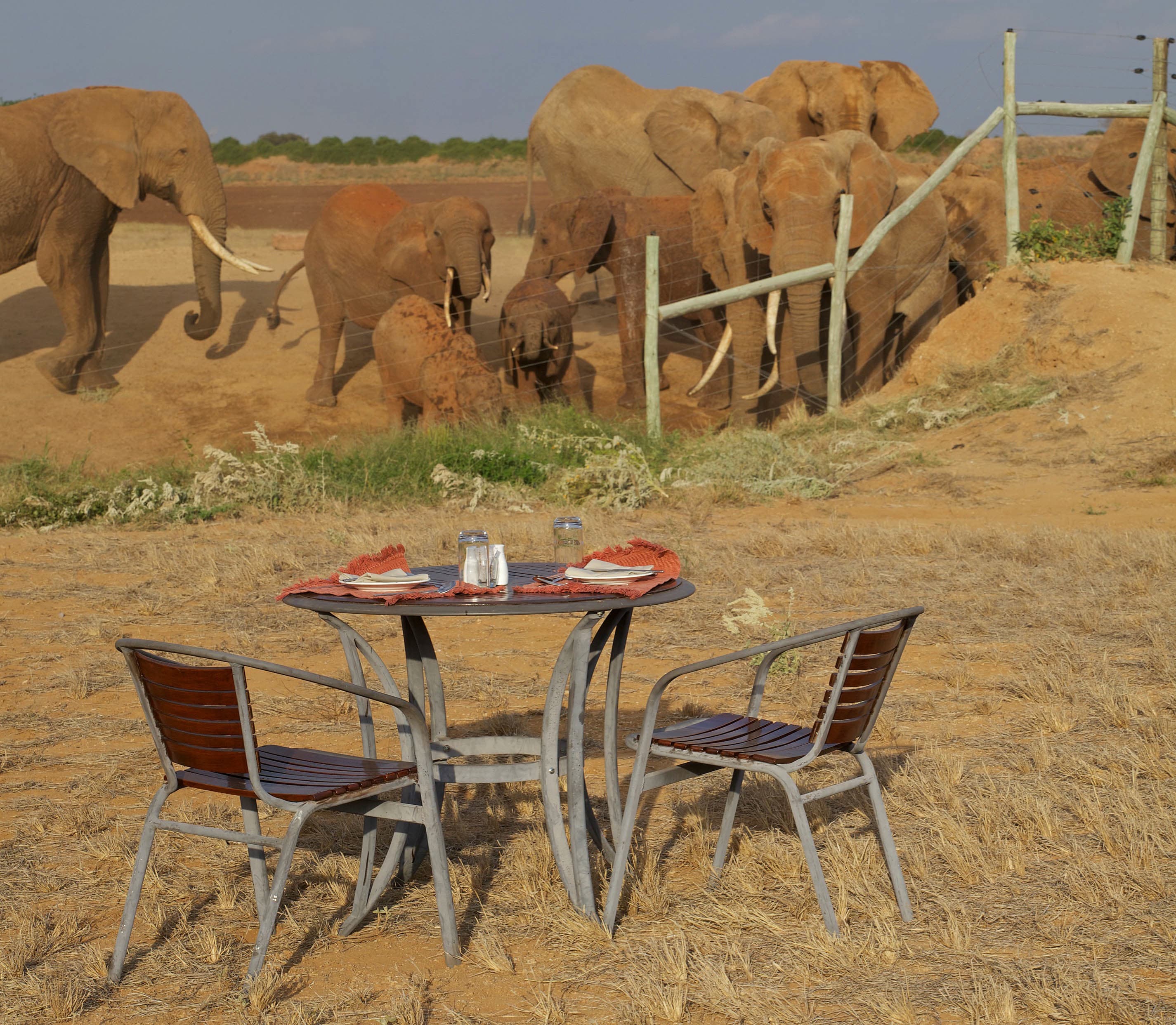 Amboseli National Park