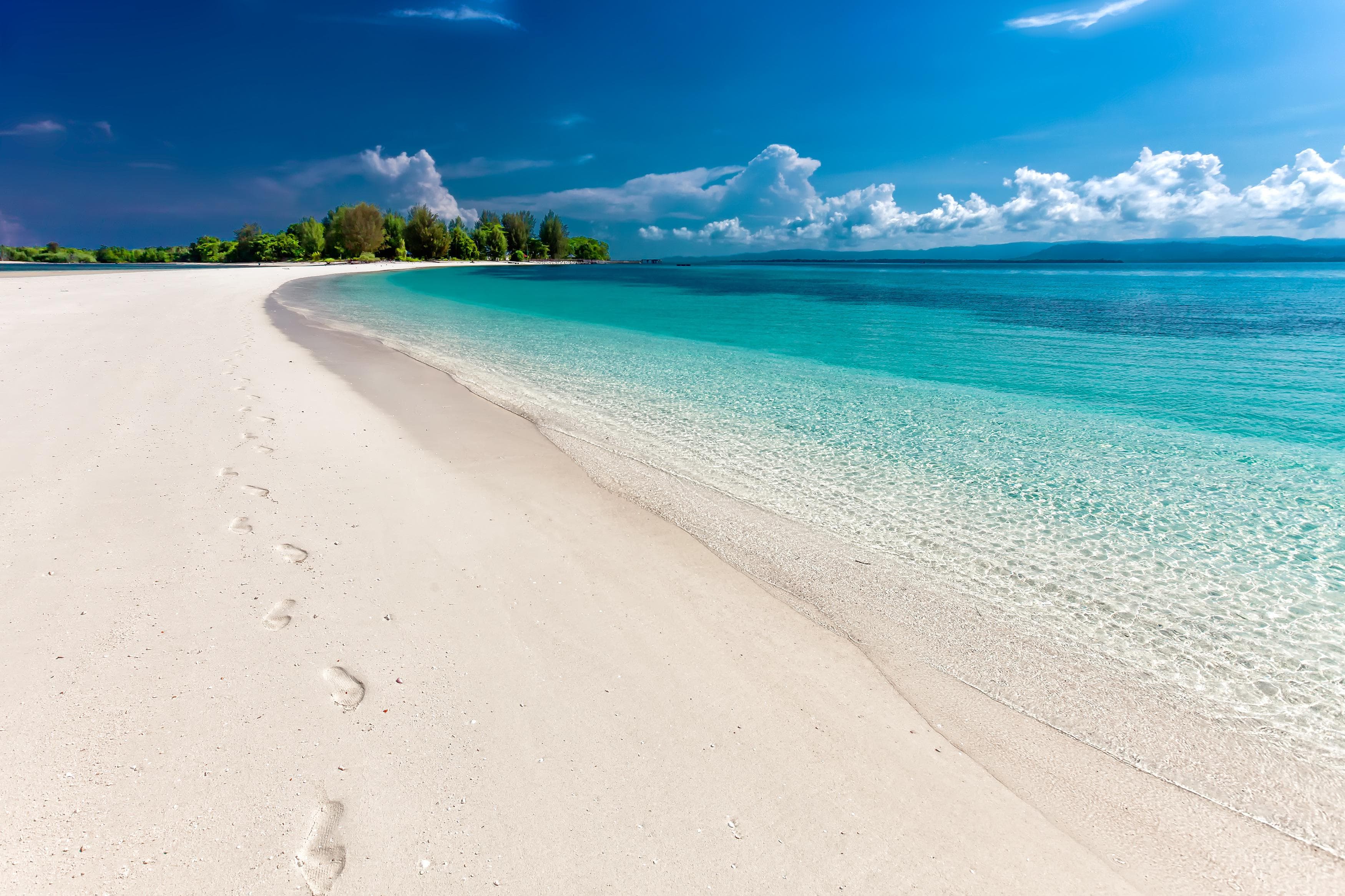 Diani Beach & Coast