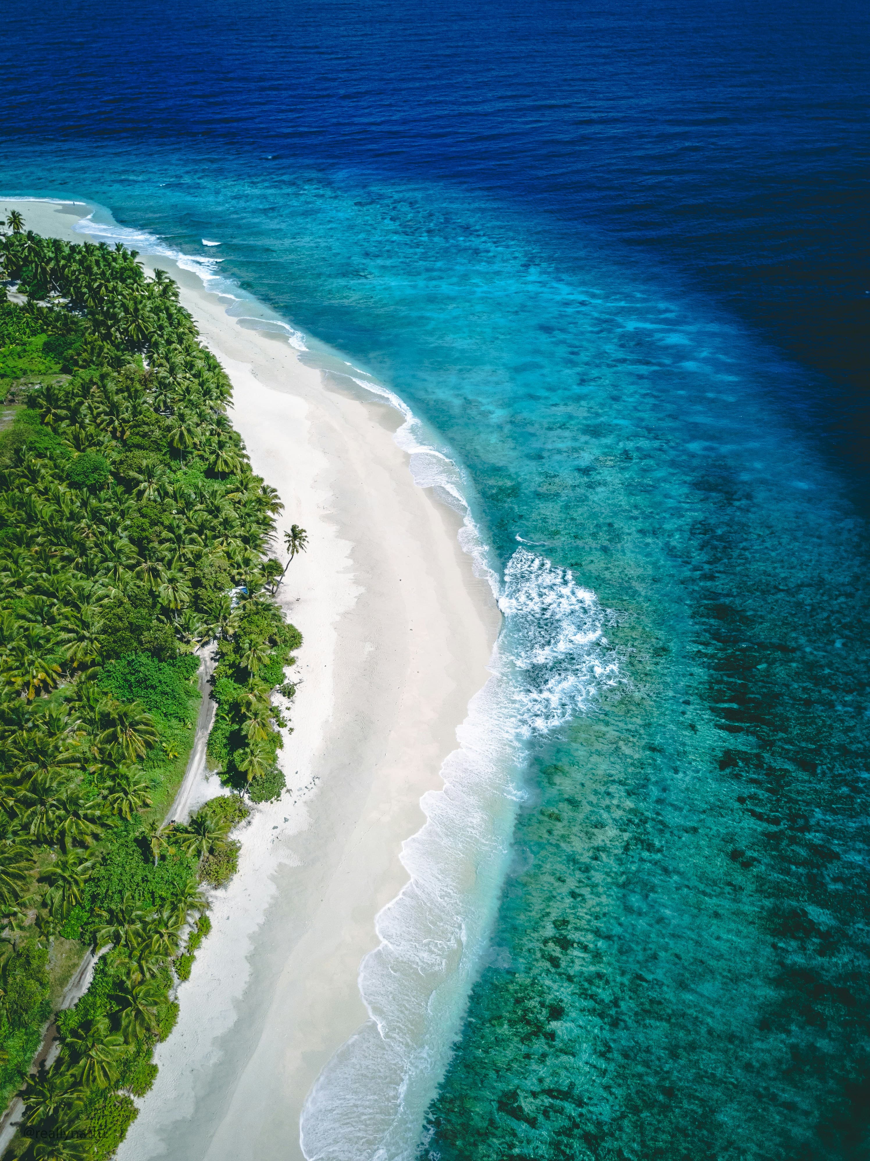 The Ultimate Bush & Beach Combinations: Safari to Diani & Zanzibar